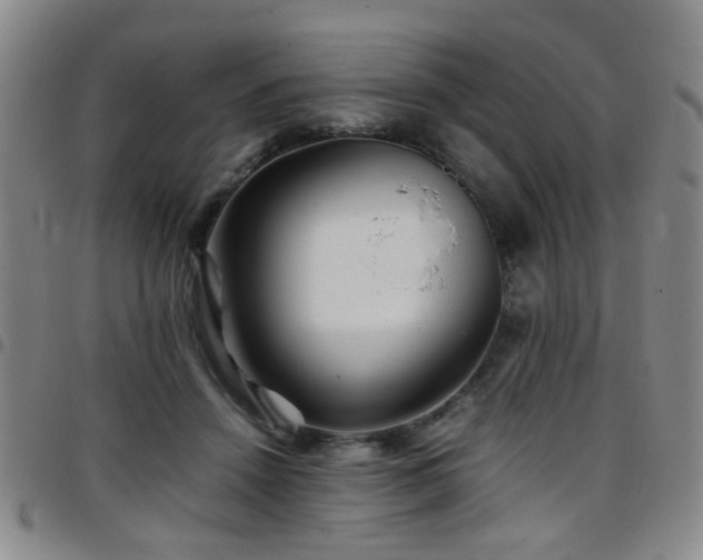 X0000097900456200803141358