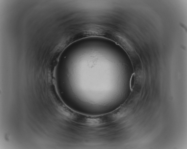 X0000097900457200803141358