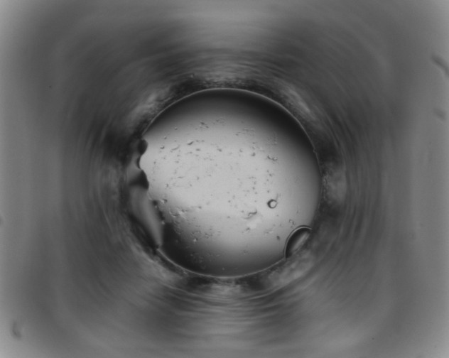 X0000097900458200803141358