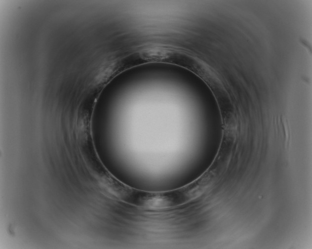 X0000097900460200803141358