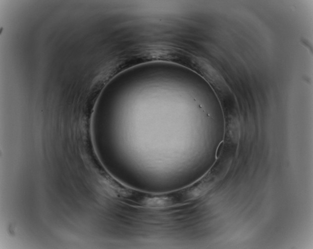 X0000097900461200803141358