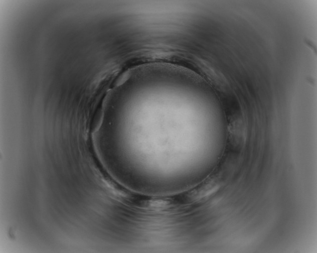 X0000097900462200803141358