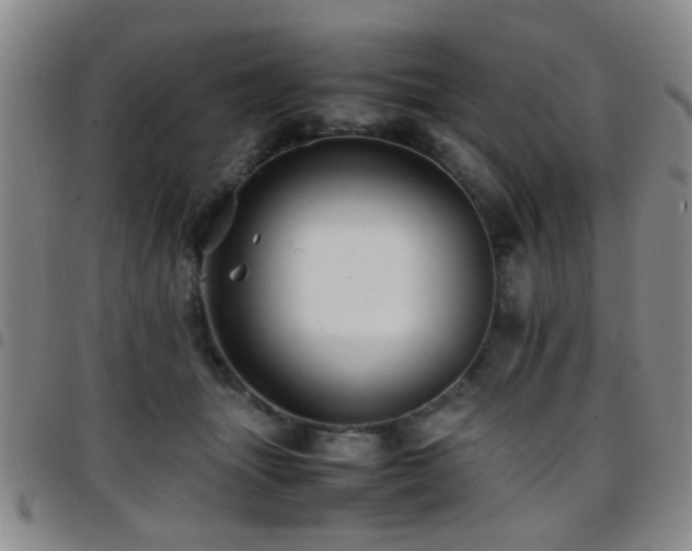 X0000097900463200803141358