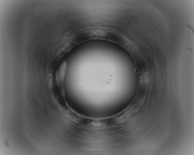 X0000097900464200803141358