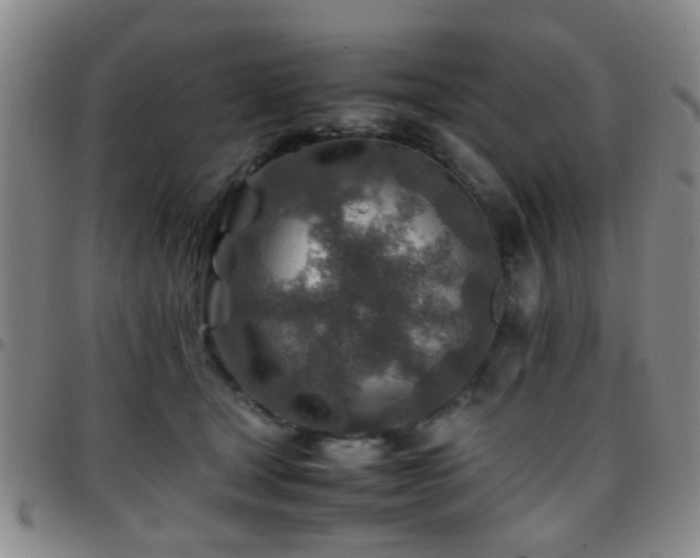 X0000097900465200803141358