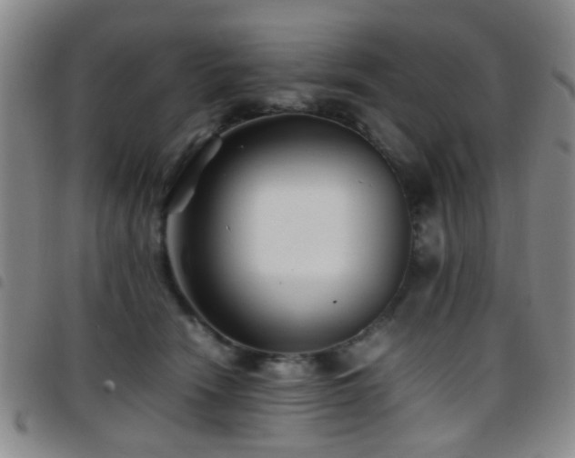 X0000097900466200803141358