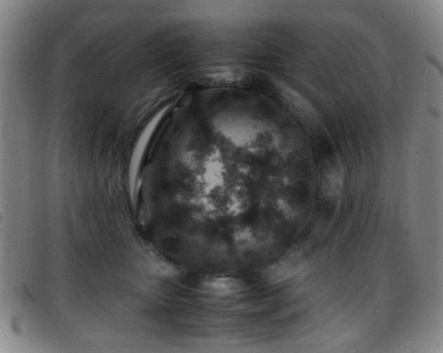 X0000097900467200803141358