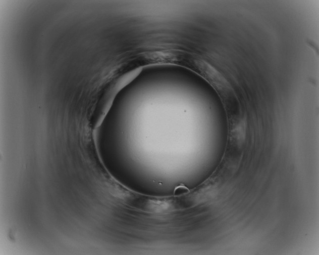 X0000097900469200803141358