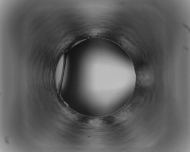 X0000097900470200803141358