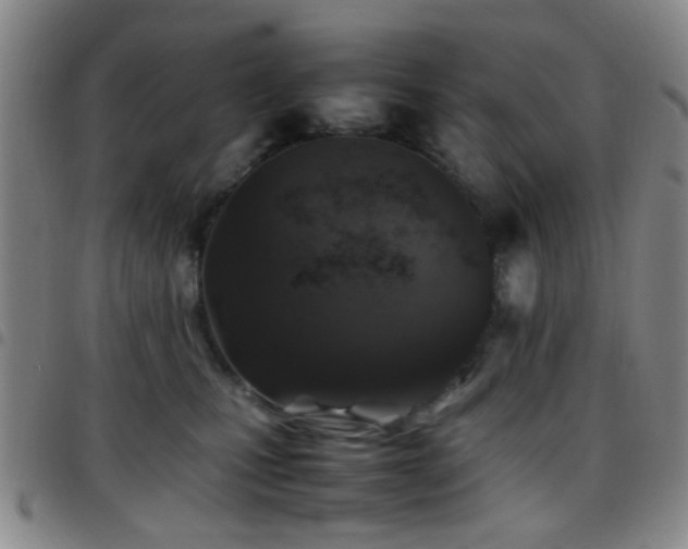 X0000097900471200803141358