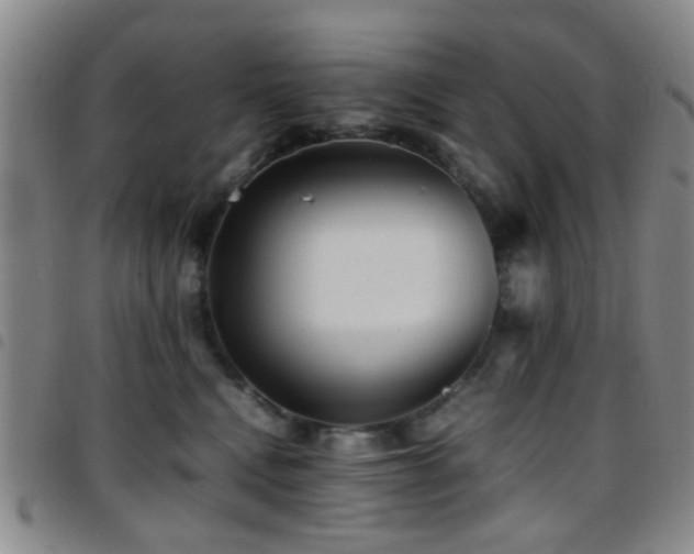 X0000097900472200803141358