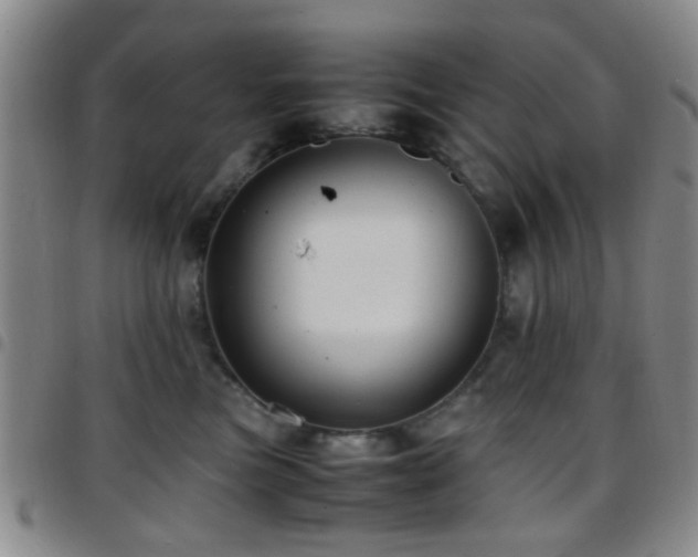 X0000097900473200803141358