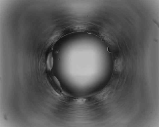 X0000097900474200803141358