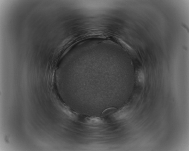 X0000097900475200803141358