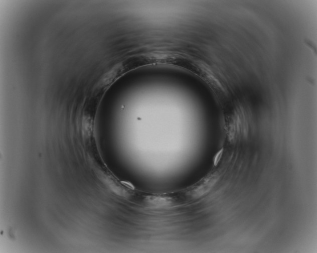 X0000097900476200803141358