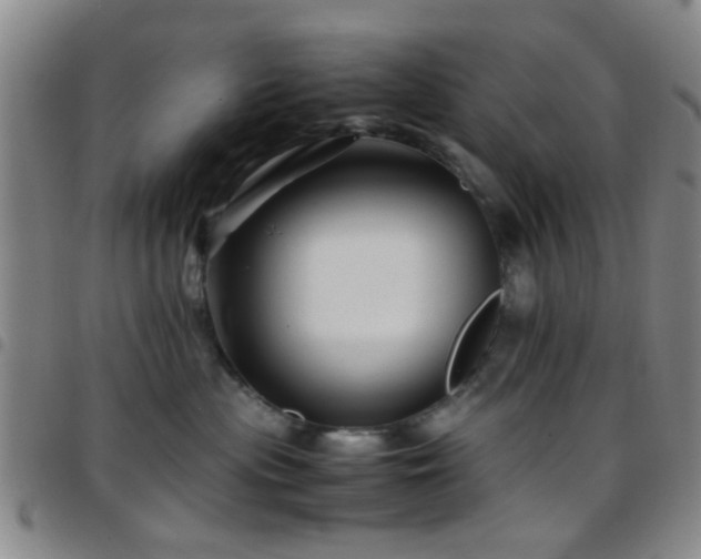 X0000097900477200803141358