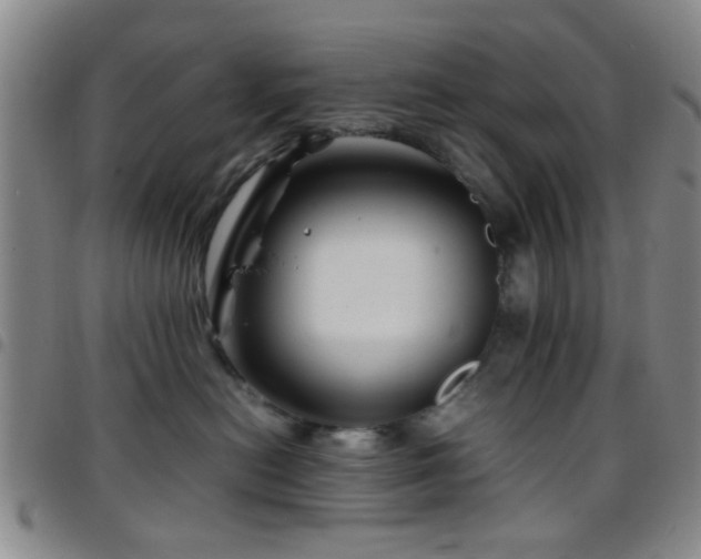 X0000097900478200803141358