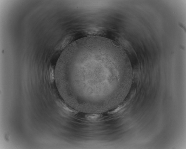 X0000097900479200803141358