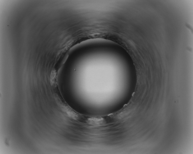 X0000097900480200803141358