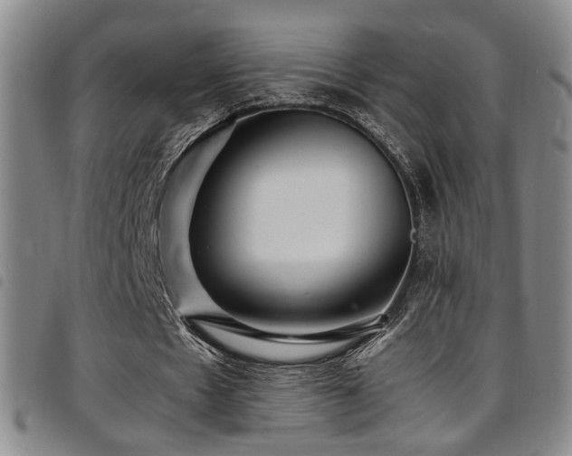 X0000097900481200803141358