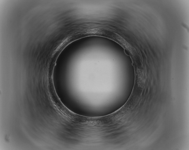 X0000097900482200803141358