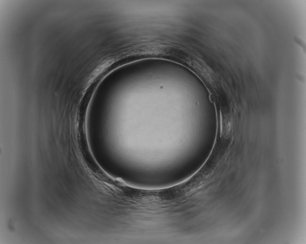 X0000097900483200803141358