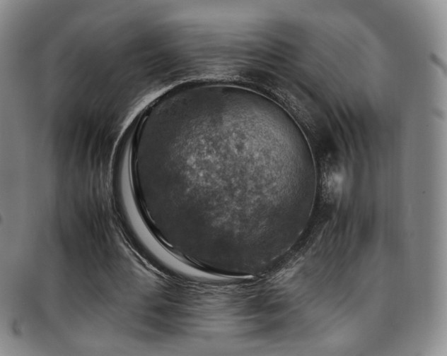 X0000097900484200803141358