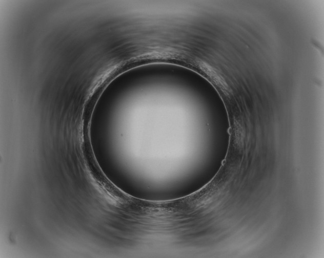 X0000097900486200803141358