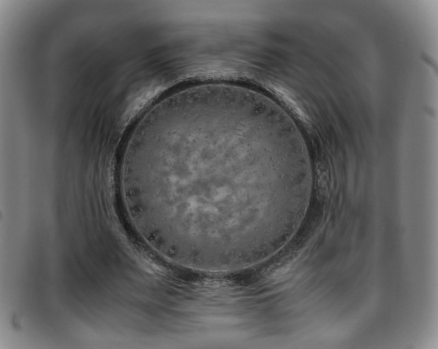 X0000097900487200803141358