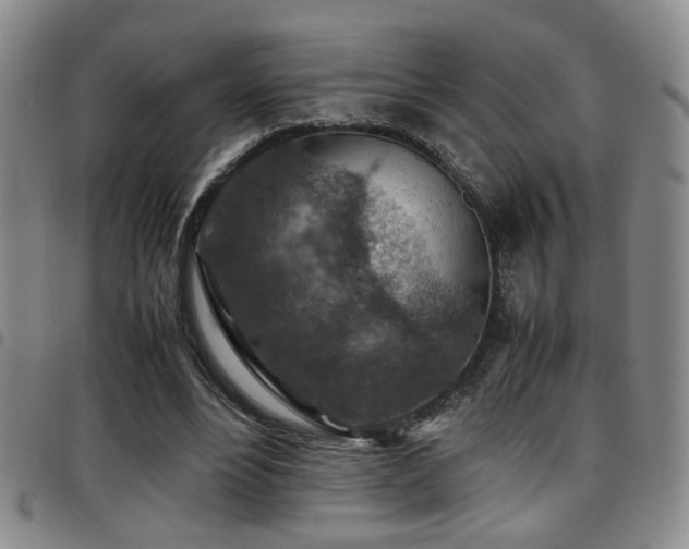 X0000097900488200803141358