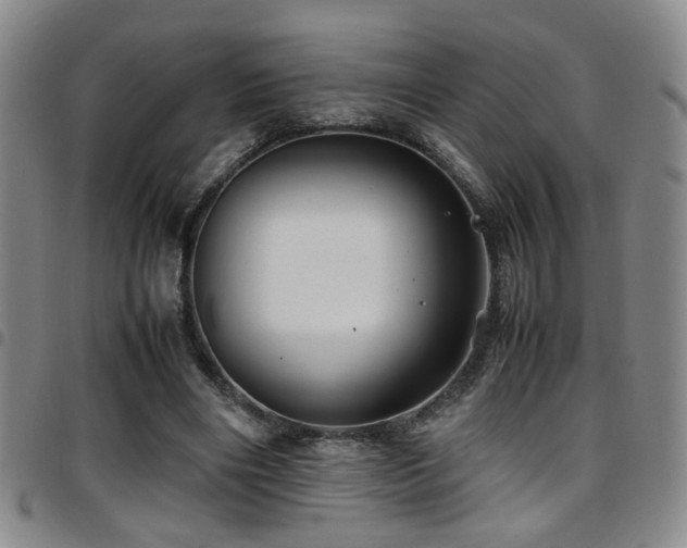 X0000097900490200803141358