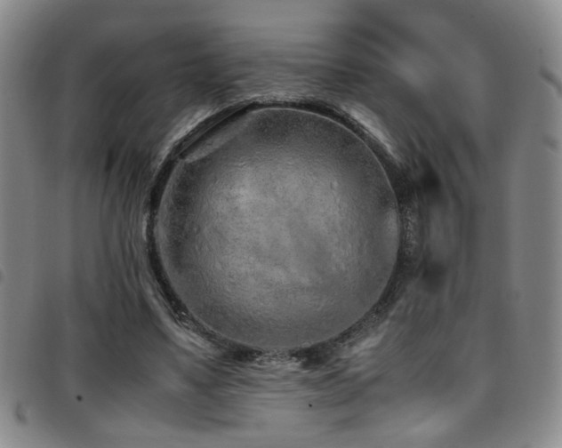 X0000097900491200803141358