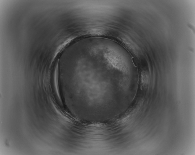 X0000097900492200803141358