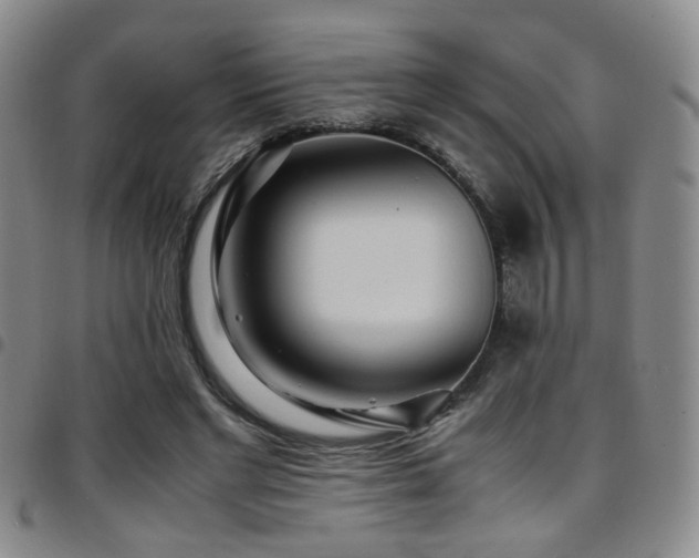 X0000097900493200803141358