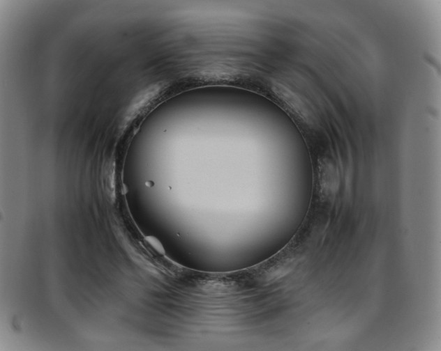 X0000097900494200803141358