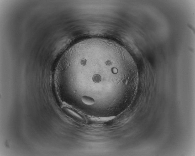 X0000097900495200803141357