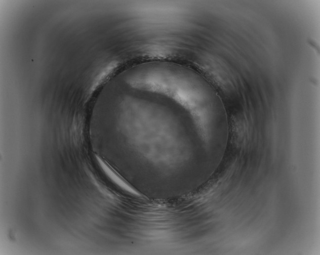 X0000097900496200803141357