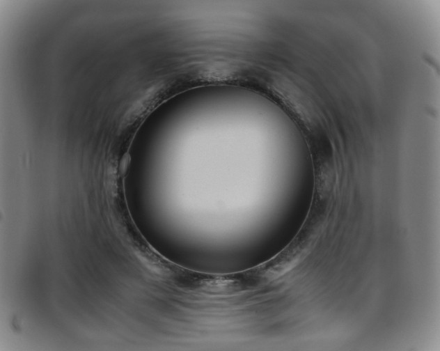 X0000097900497200803141357