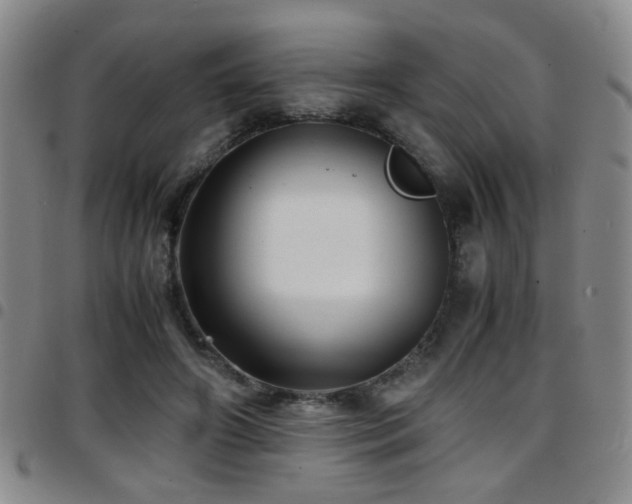 X0000097900498200803141357