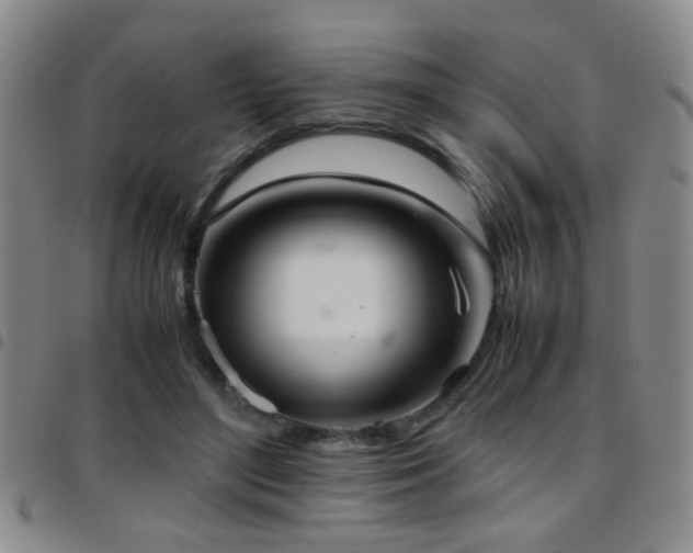 X0000097900500200803141357