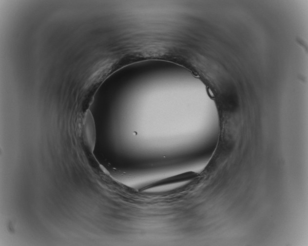 X0000097900501200803141357