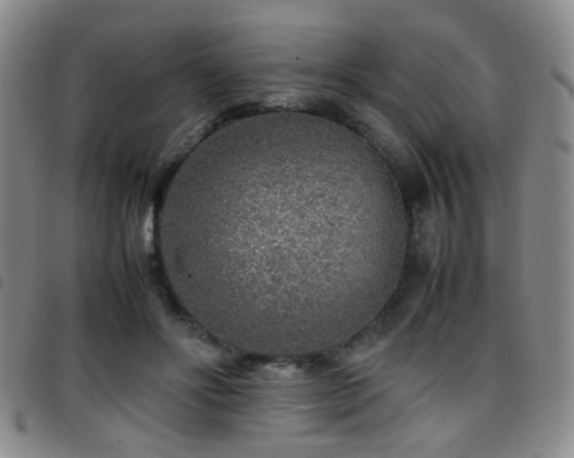 X0000097900502200803141357