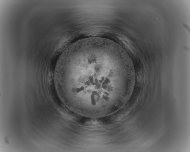 X0000097900503200803141357