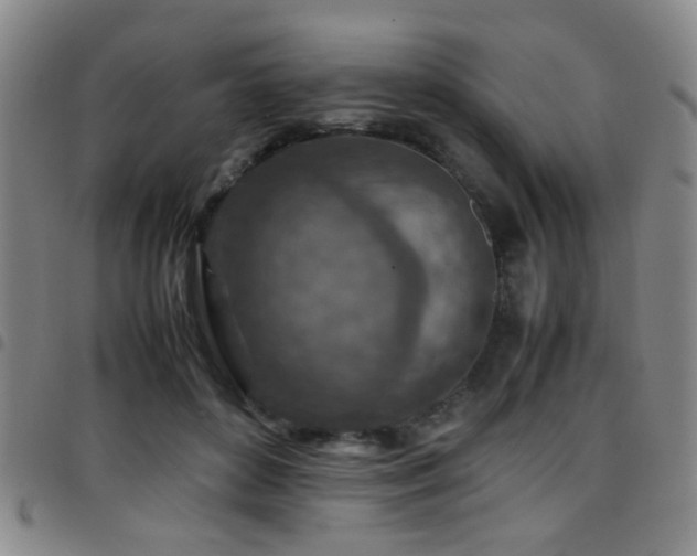 X0000097900504200803141357