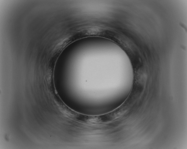 X0000097900505200803141357