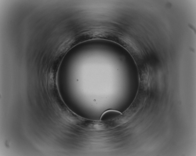 X0000097900506200803141357