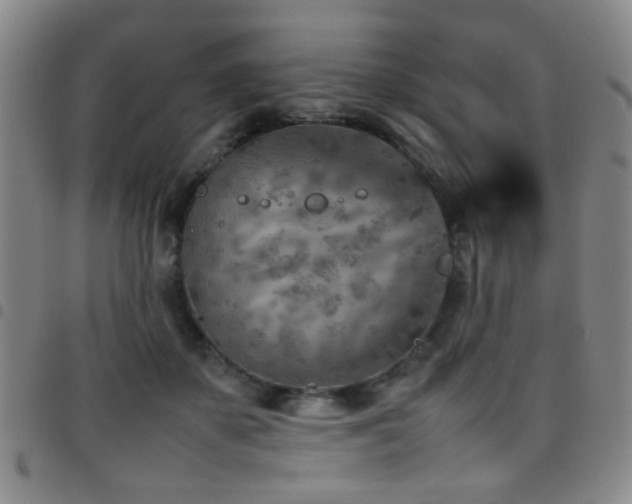 X0000097900507200803141357