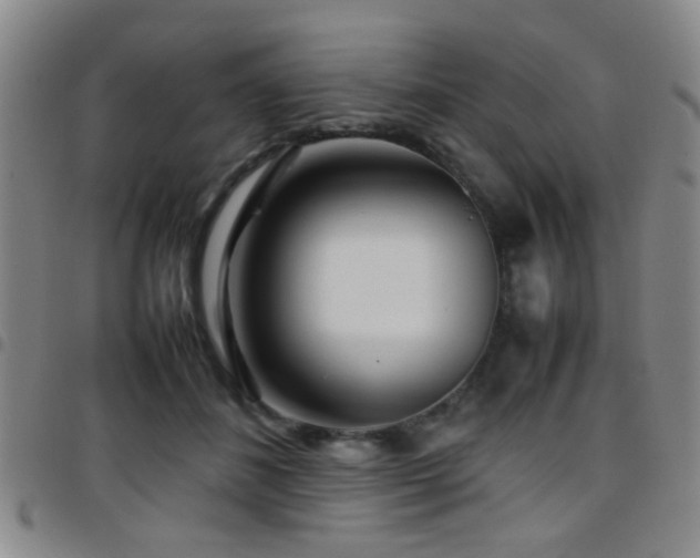 X0000097900508200803141357