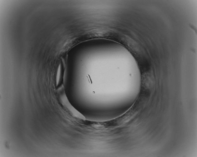 X0000097900509200803141357