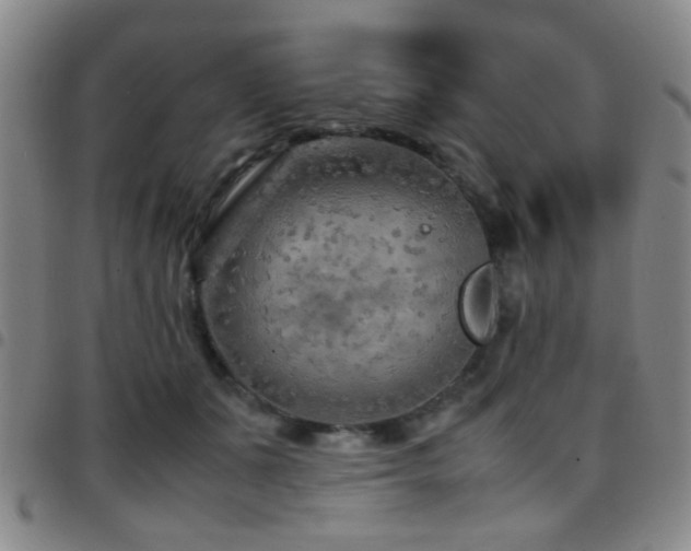 X0000097900511200803141357